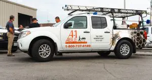 Stink Bugs What You Need to Know About Them and Why A-1 Able Pest Doctors