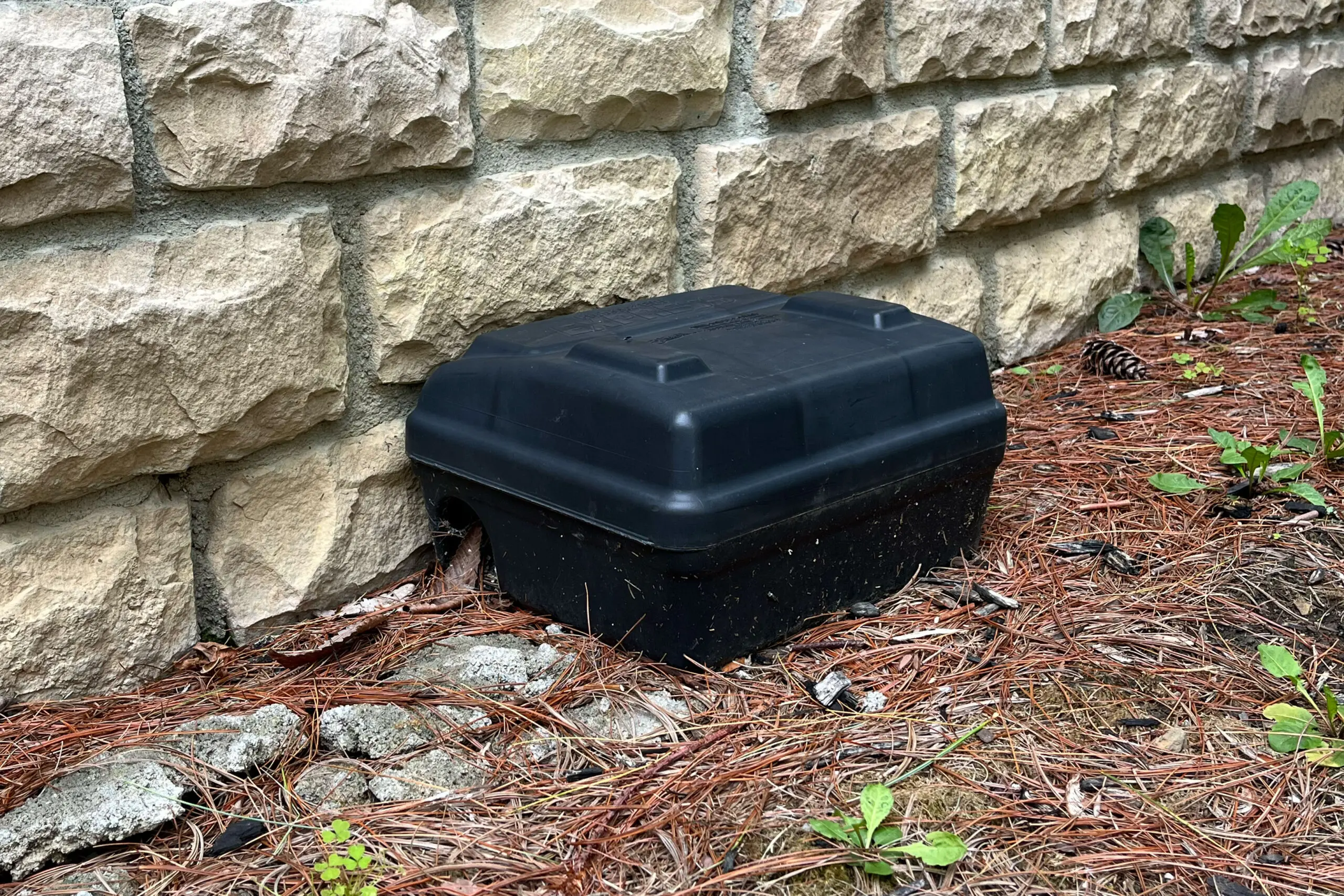 Rodent bait station placed outside along a stone foundation for professional pest control.