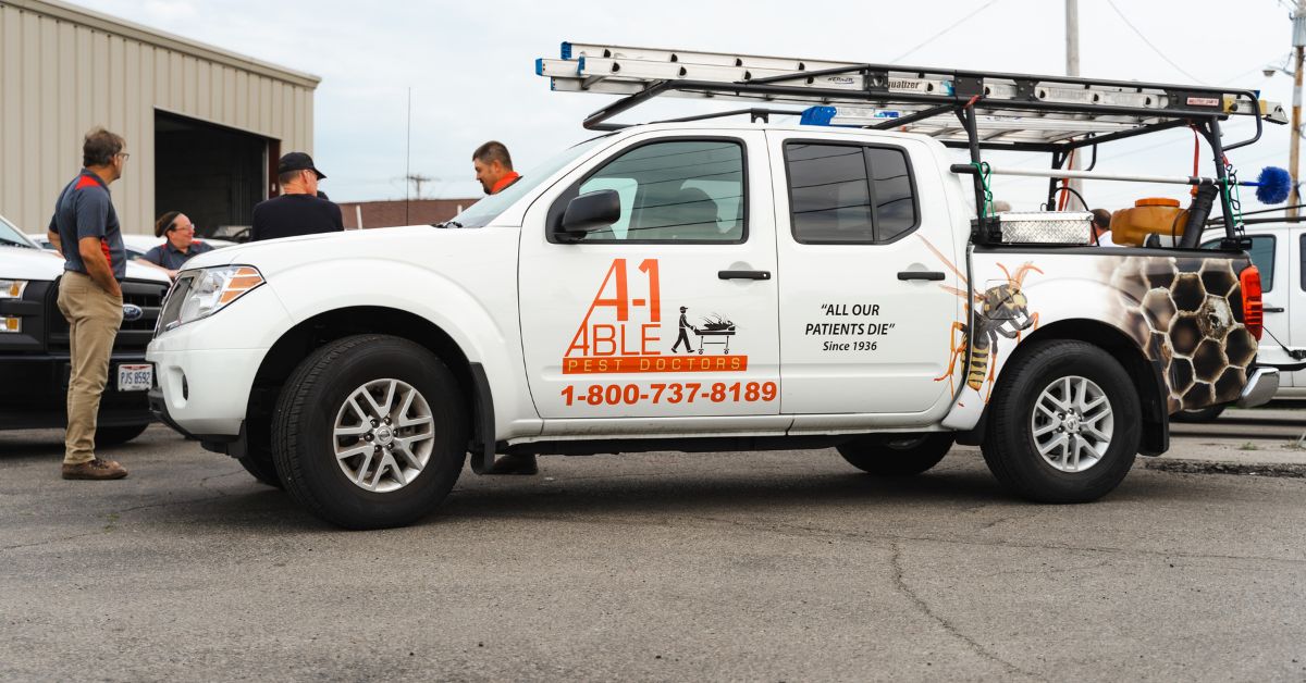 Stink Bugs What You Need to Know About Them and Why A-1 Able Pest Doctors