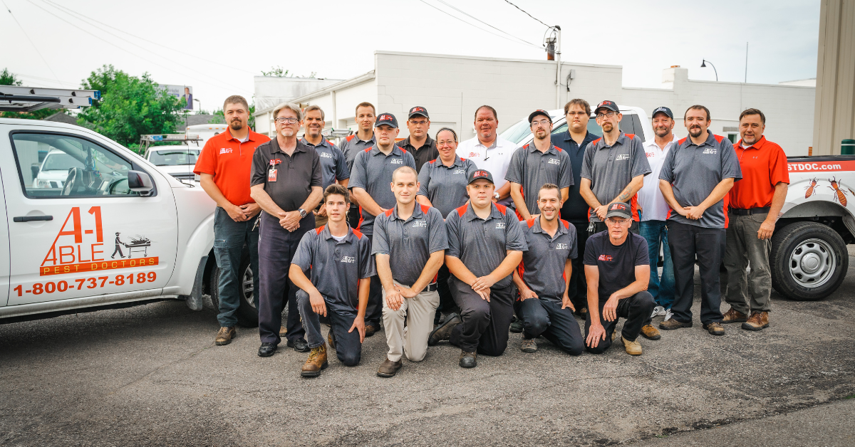 Top Exterminator Dayton Ohio A-1 Able Pest Doctors