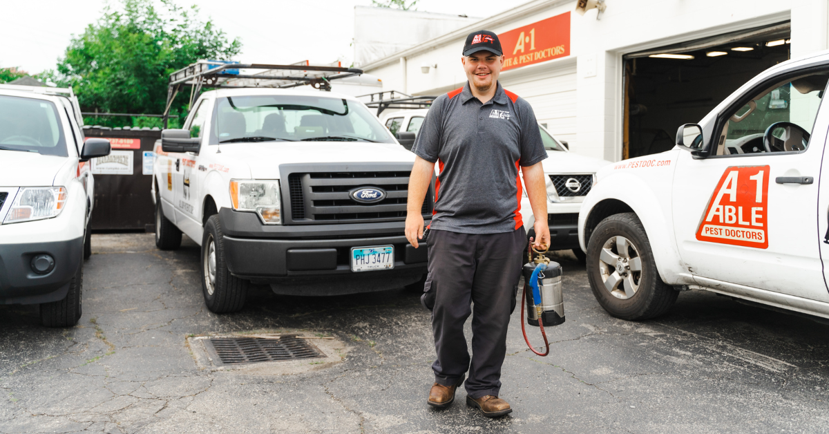 How to Get Rid of Bed Bugs A-1 Able Pest Doctors