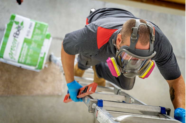 Scheduling Pest Control Services in Winter