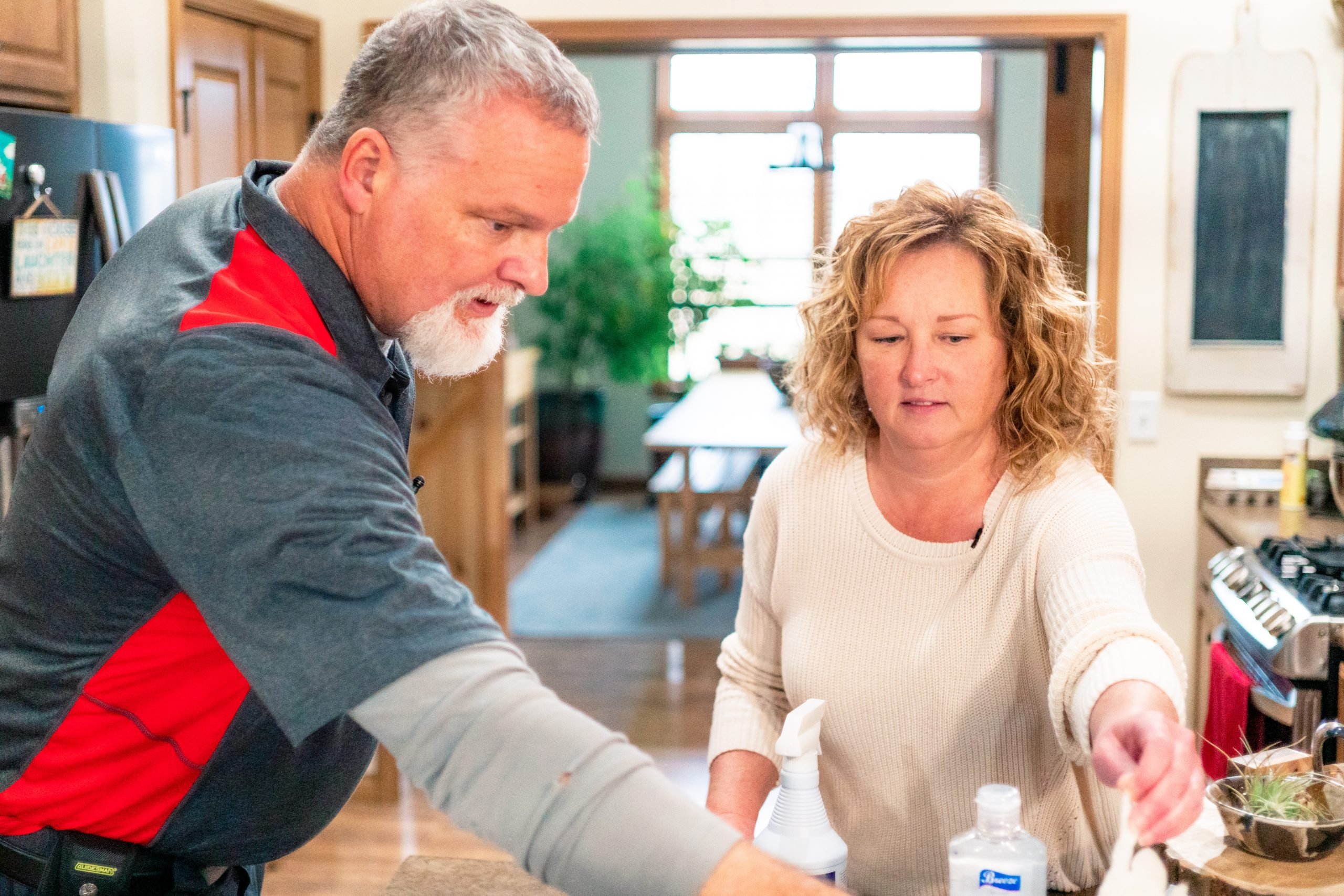 The Most Common Pests and Bugs Found in Ohio