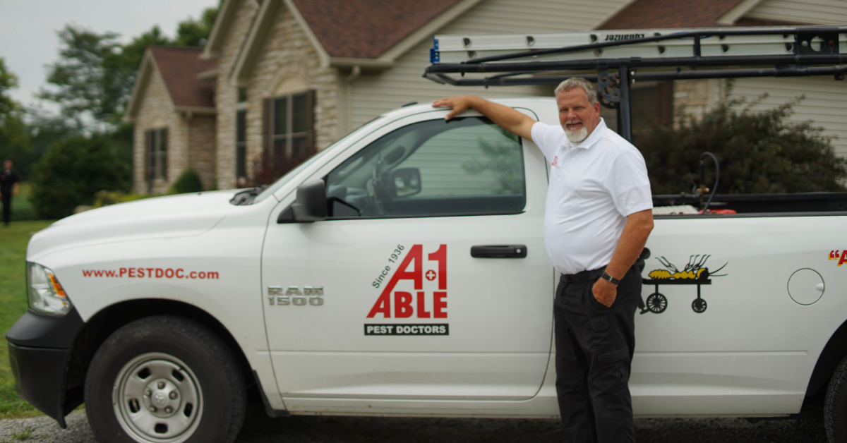 Why Professional Pest Control Services Are Essential