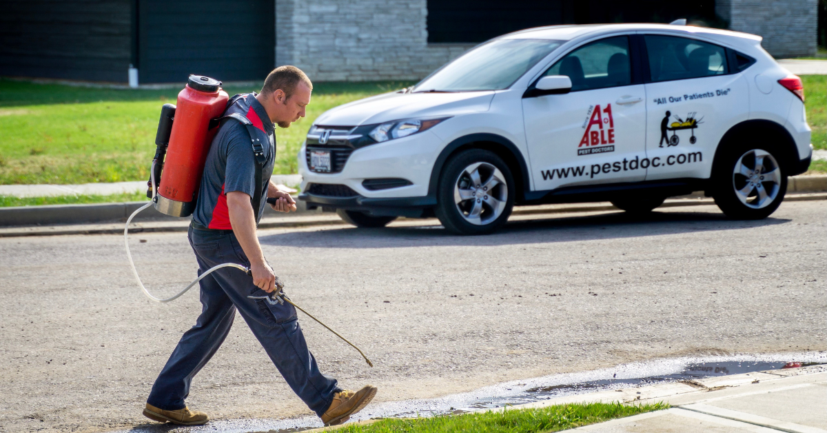 Preventing Ant Infestations Preventing Ant Infestations