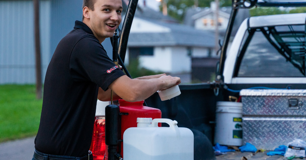 8 Steps on How to Get Rid of Bed Bugs 8 Steps on How to Get Rid of Bed Bugs