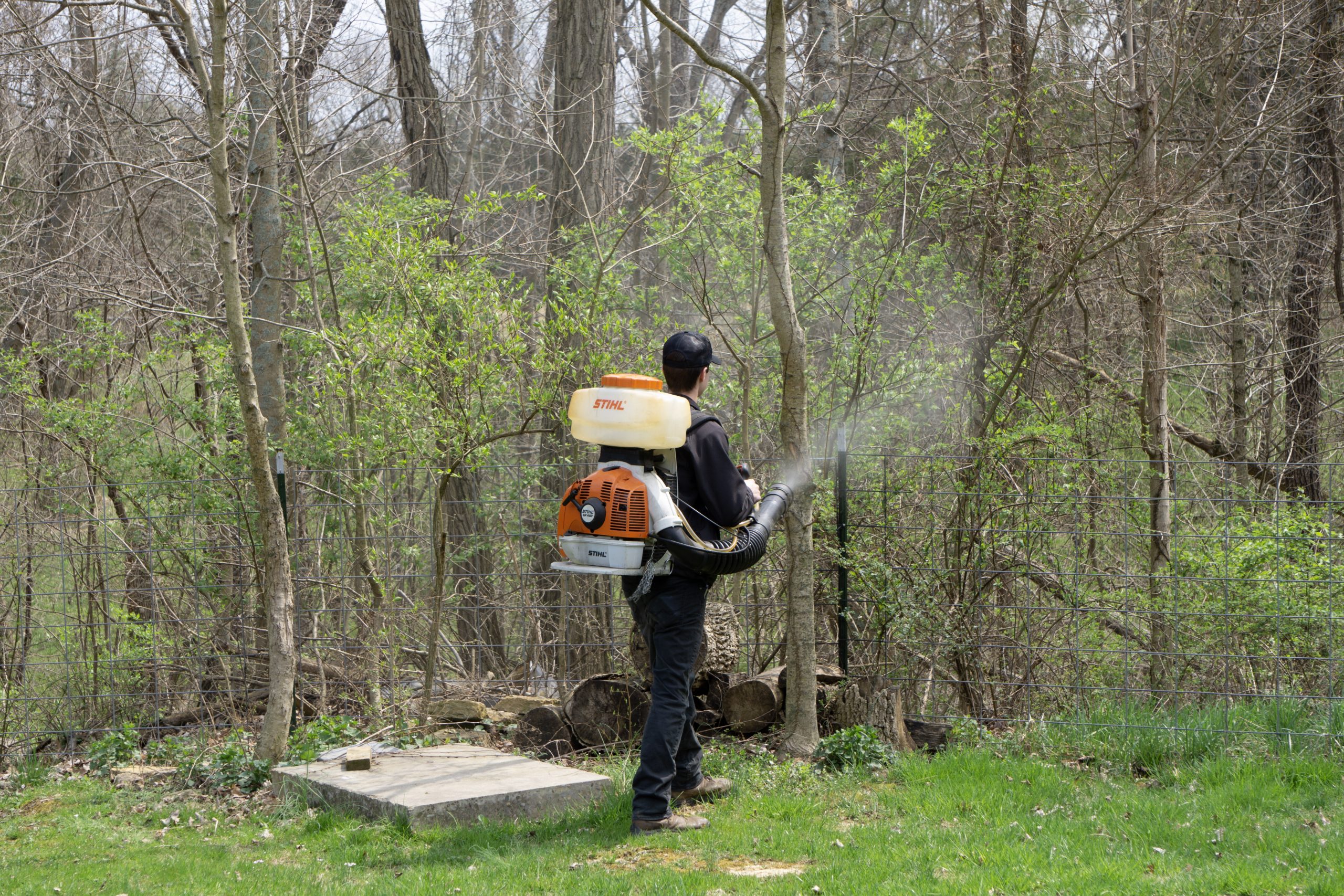 Is Pest Control Worth It?