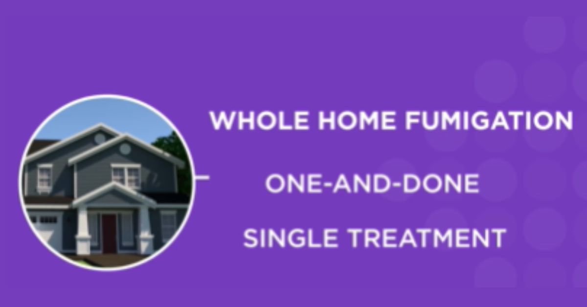 Eliminating Bed Bugs with Vikane Gas Fumigation