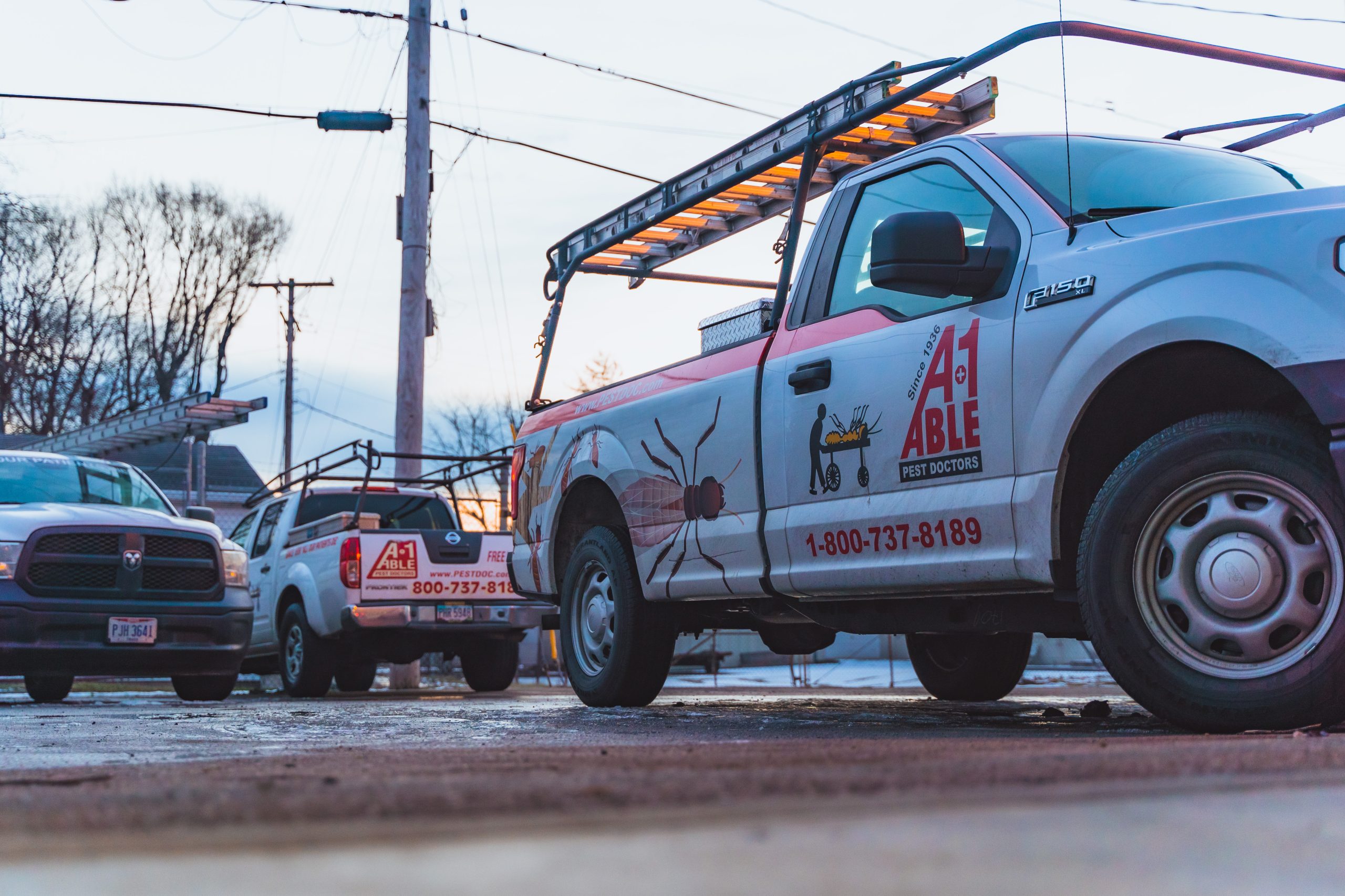 Rodent Pest Control: Keeping Your Home Rodent-Free Rodent Pest Control: Keeping Your Home Rodent-Free