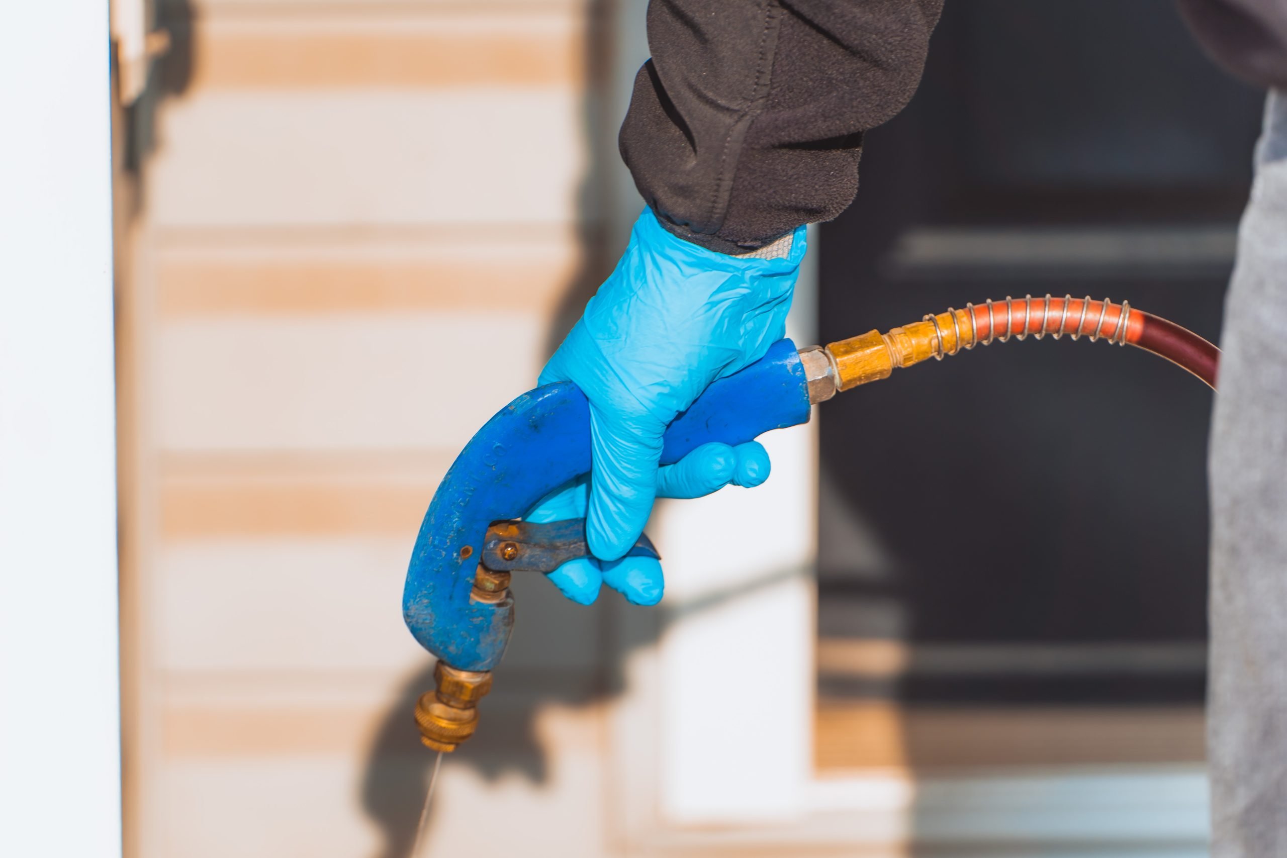 How Cold Weather Affects Pest Populations How Cold Weather Affects Pest Populations