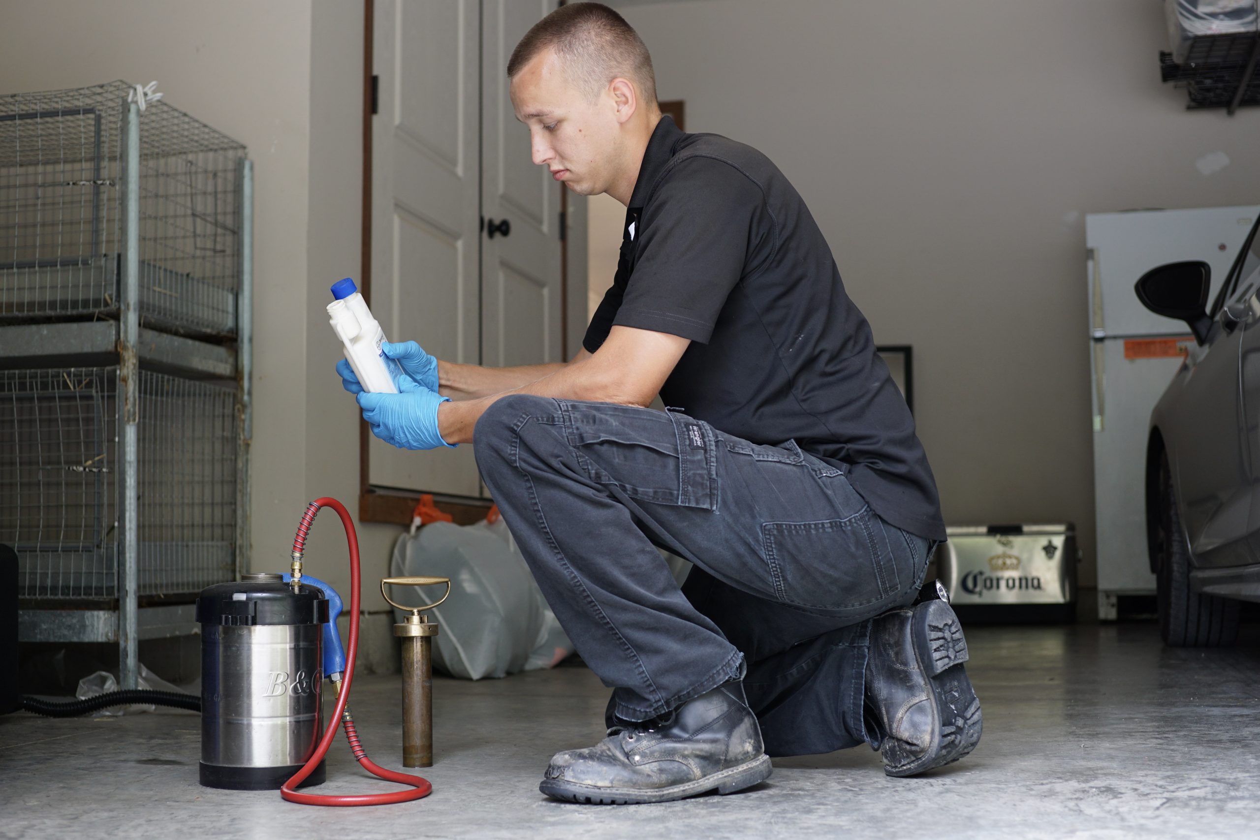 The Importance of Year-Round Pest Control