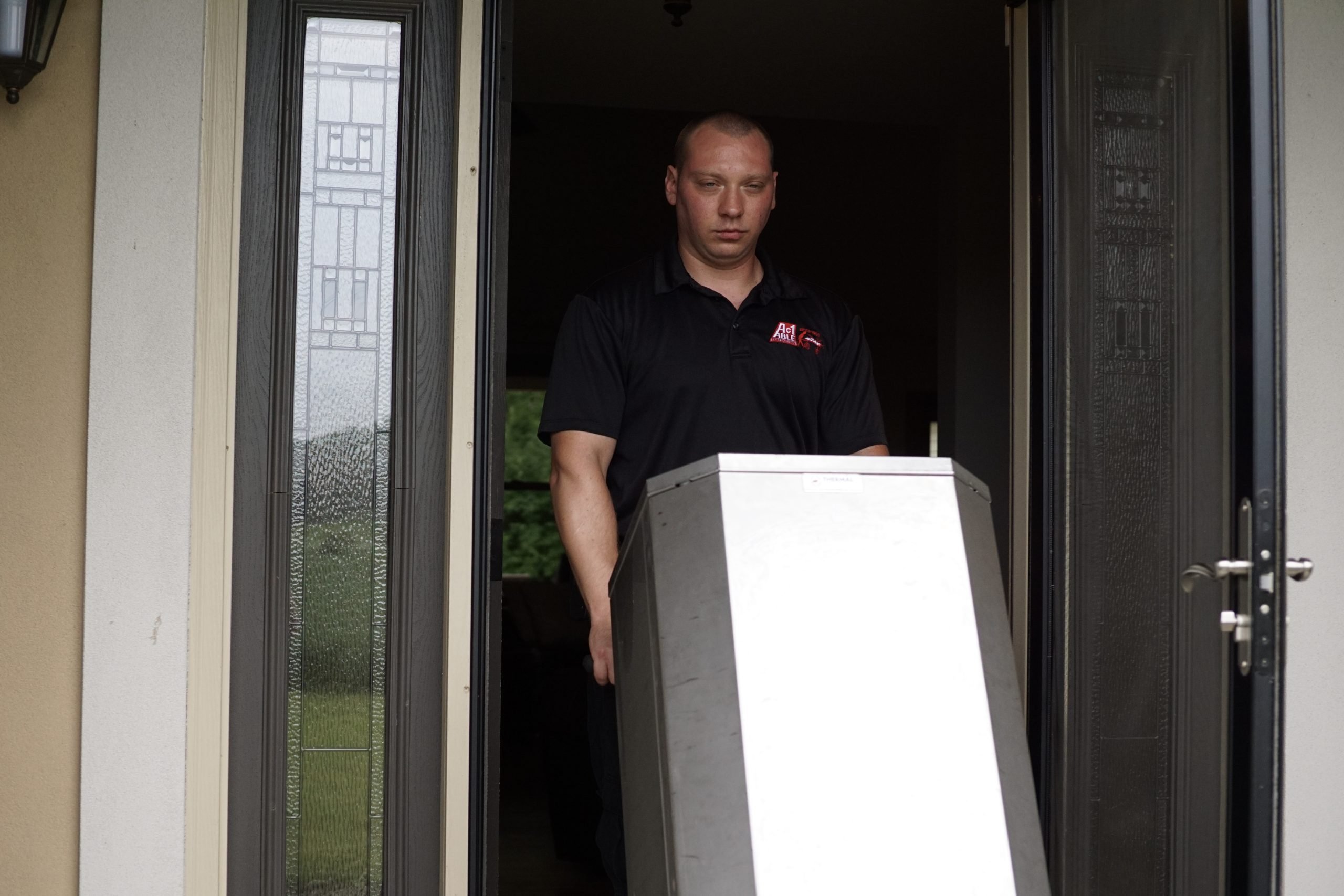 Protect Your Home and Workplace from Bed Bugs Protect Your Home and Workplace from Bed Bugs