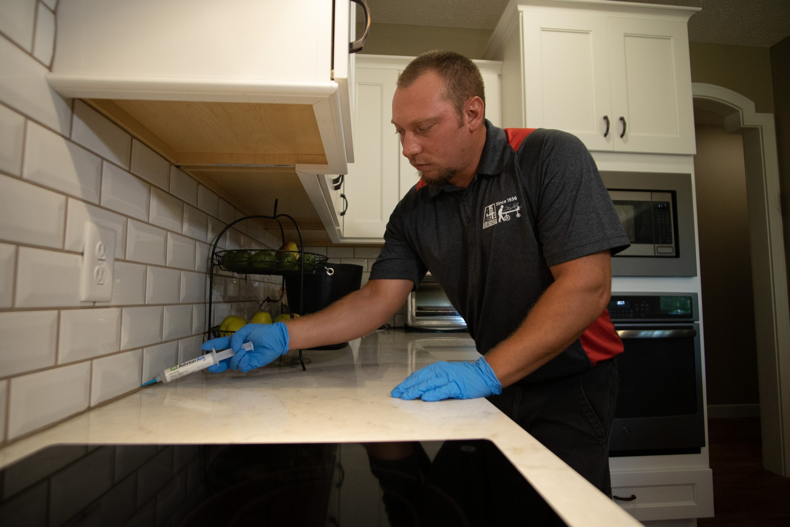 Why Do I Have Ants in December?