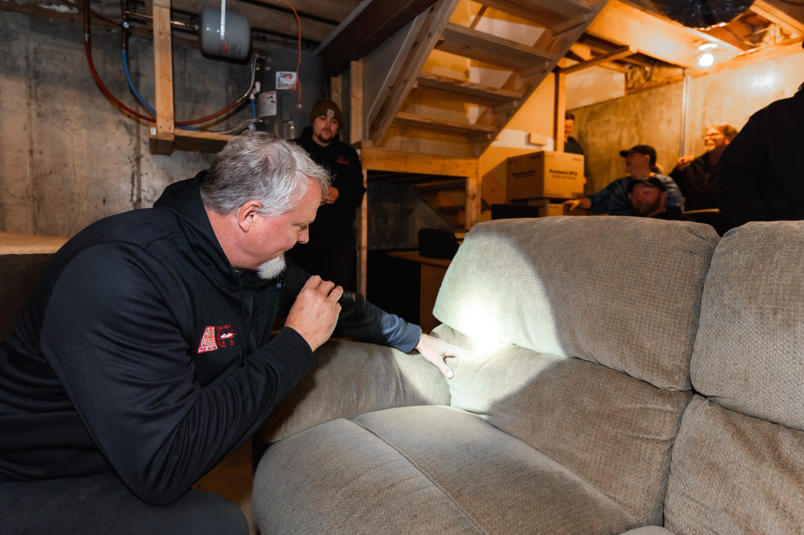 The Difference Between Bed Bugs and Household Bugs