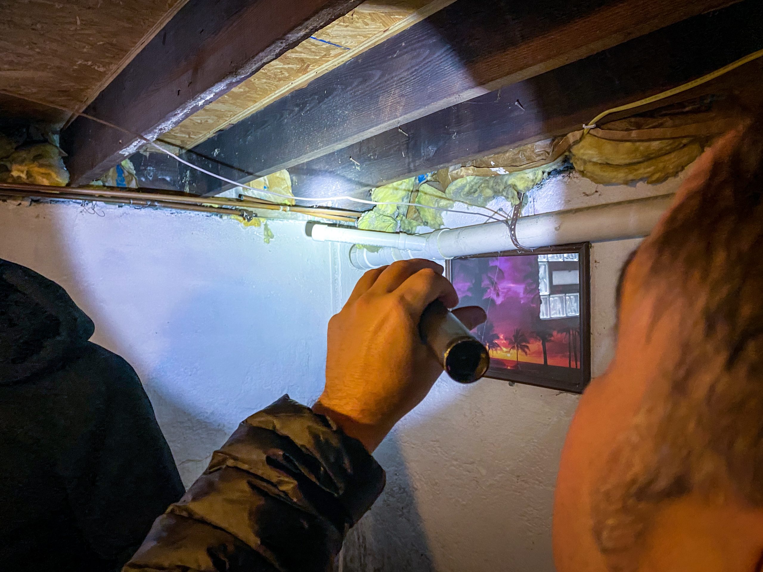 Benefits of Winter Pest Control Services