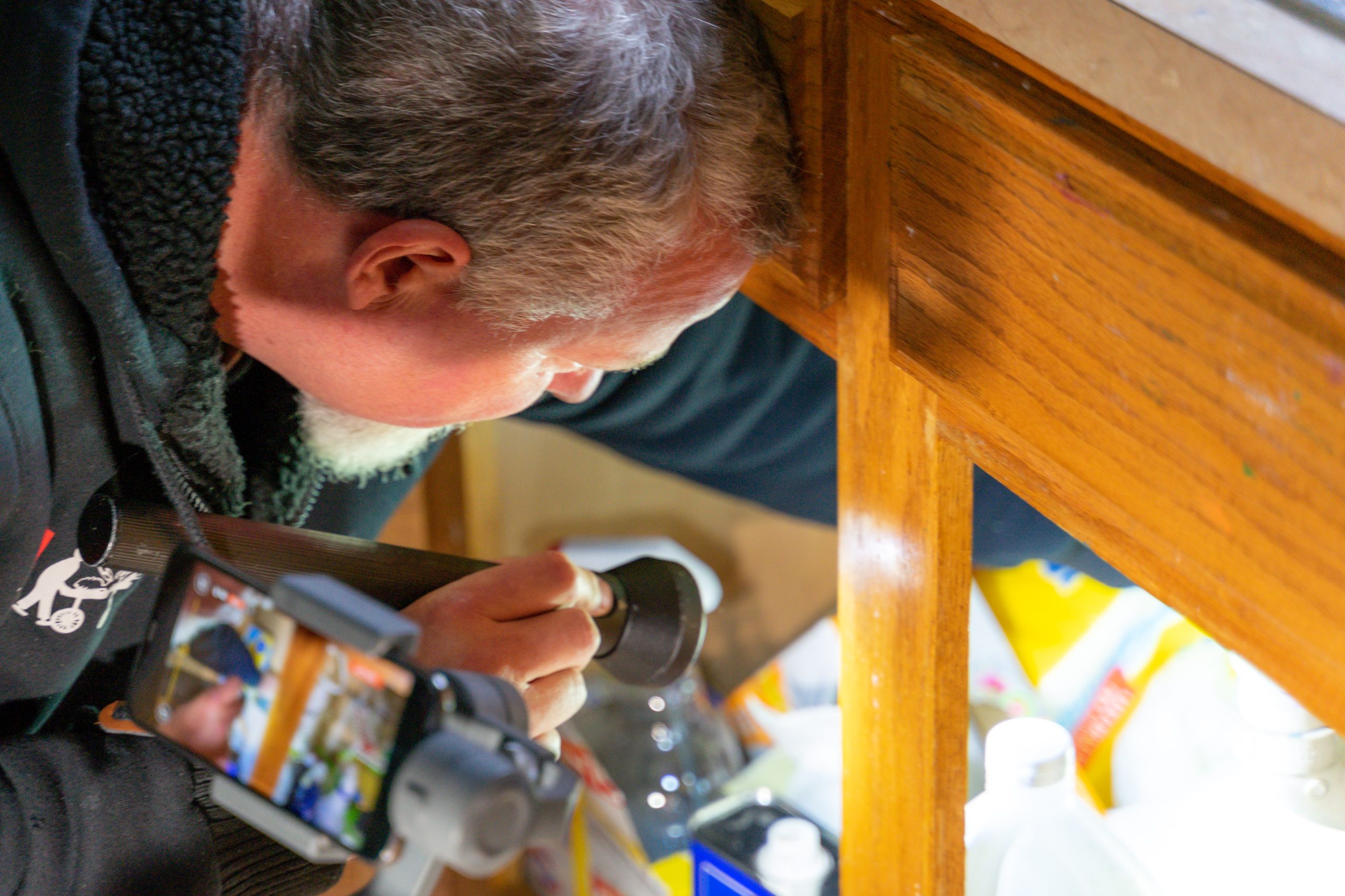 Why Rodents Seek Shelter Indoors