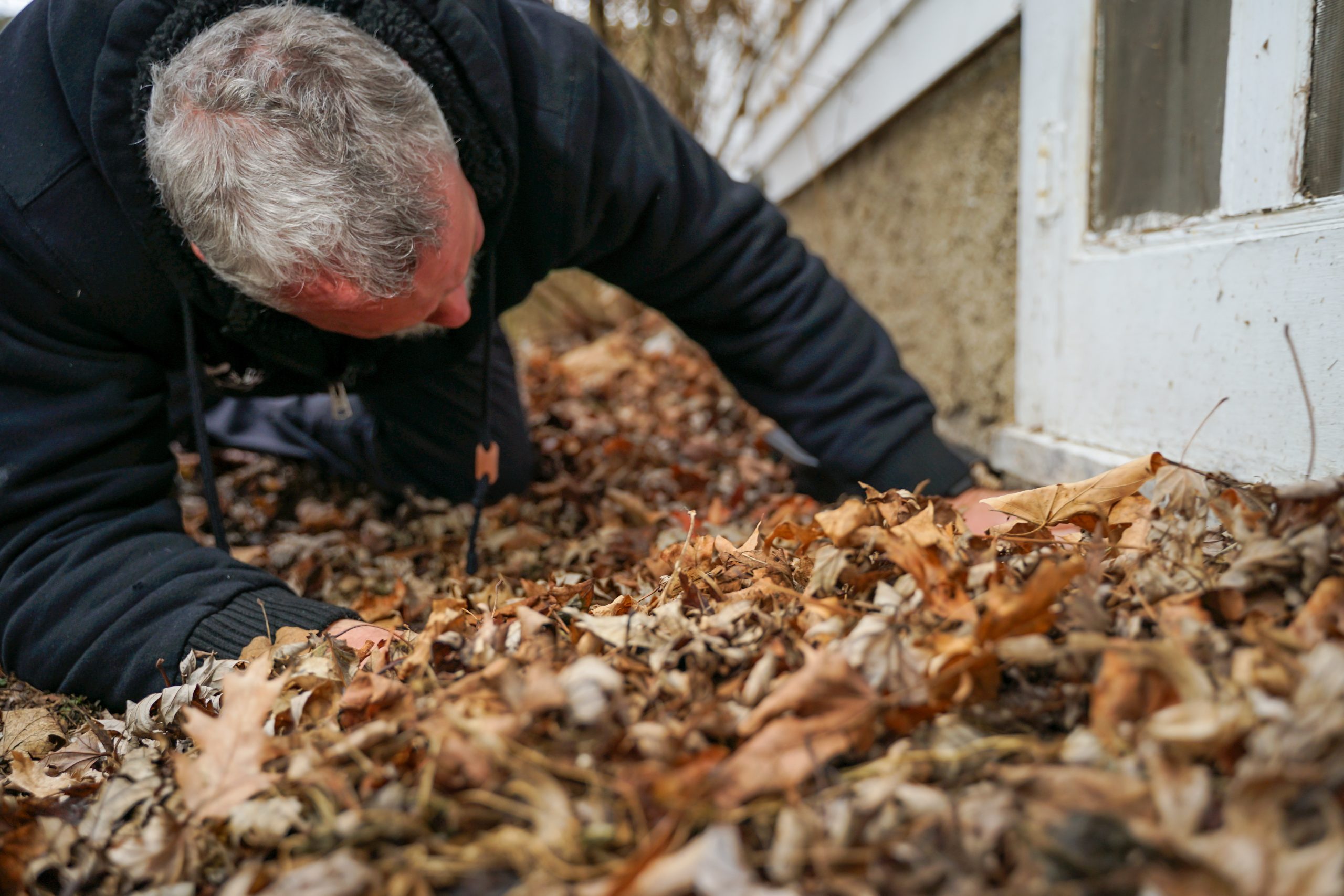 Top 5 Winter Pests and How to Keep Them Out of Your Home